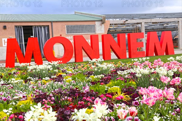 BUGA (Federal Garden Show) Mannheim 2023: The word MONNEM is written in large letters in Spinelli Park. This is what the people of Mannheim call their city in the Electoral Palatinate dialect