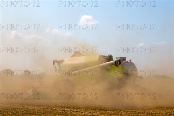 Grain harvest near Hockenheim, Baden-Wuerttemberg