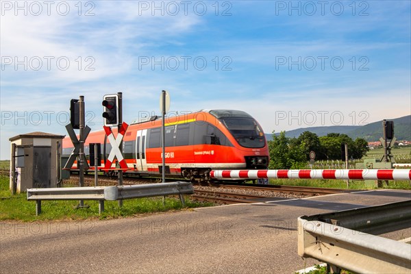 A train of the Verkehrsbetriebe Rhein-Neckar (VRN) near Neustadt an der Weinstrasse