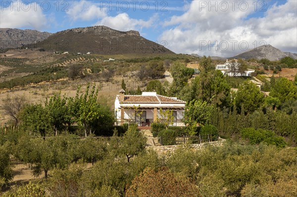 Landscape of scattered houses and limestone mountains view from Zalia, La Axarquia, Andalusia, Spain, Europe