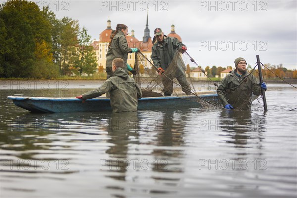 Fish and forest festival, fishing in the Moritzburg castle pond