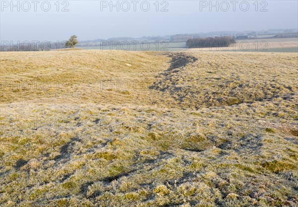 Earthwork embankments at Windmill Hill, a Neolithic causewayed enclosure, near Avebury, Wiltshire, England, UK