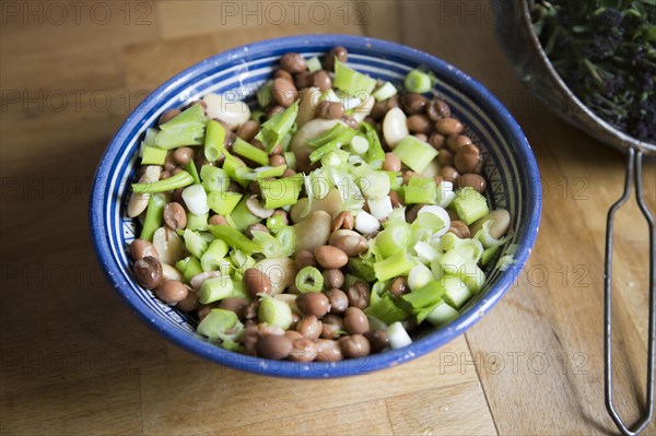 Close up looking down close up fresh mixed bean and chopped spring onion salad in bowl