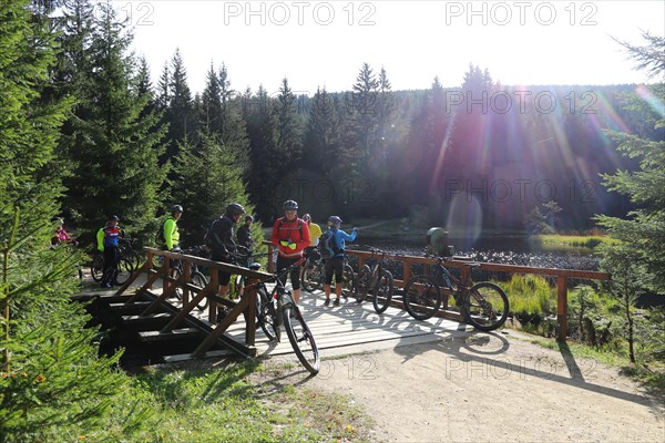 Mountain bike tour through the Bavarian Forest with the DAV Summit Club: stopover at the small Arbersee lake
