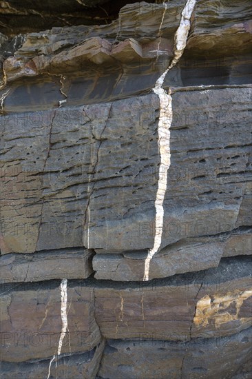 White veins of quartzite forming dykes crossing layers of metamorphosed sedimentary rock in the coastal cliff on the Atlantic coast at Odeceixe, Algarve, Portugal, southern Europe, Europe