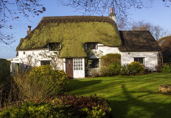 Pretty thatched country cottage home with green moss growing on thatch, Cherhill, Wiltshire, England, UK
