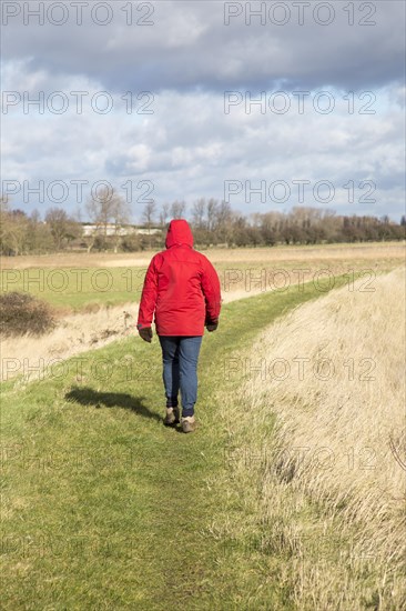 Woman wearing red winter jacket walking on raised coastal flood defence dyke embankment, Hollesley Bay, Suffolk, England, UK