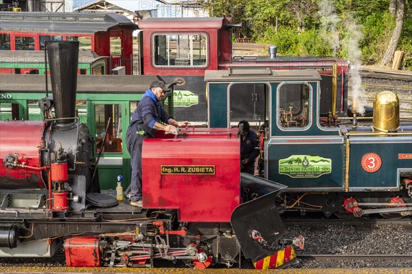 Steam locomotives and carriages of the historic convict railway Train to the End of the World, Tierra del Fuego National Park, Tierra del Fuego Island, Patagonia, Argentina, South America