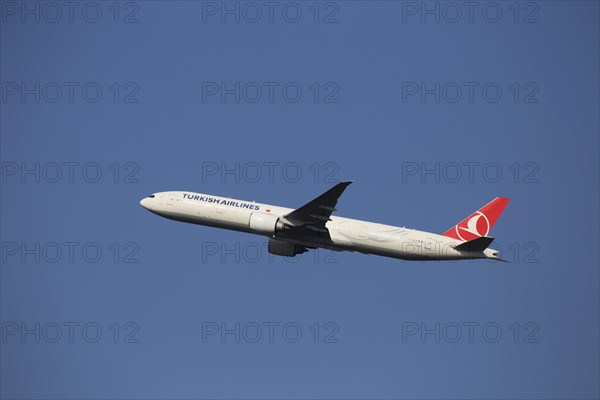 A Turkish Airlines passenger aircraft takes off from Frankfurt Airport