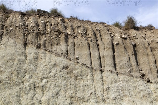 Soil profile bedrock and deposition with subsequent gulleying, Cabo de Gata Natural Park, Almeria, Spain, Europe