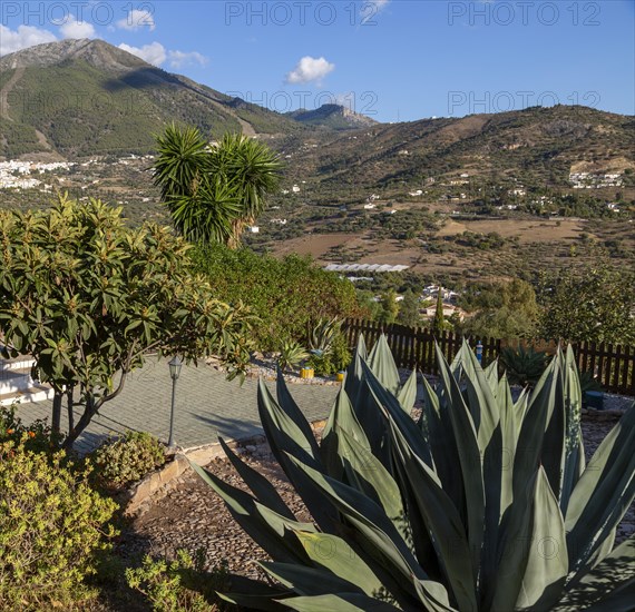 View over garden small hotel view to Alcaucin vitally and Maroma mountain upper left, Sierra de Tejeda, Axarquia, Spain, Europe