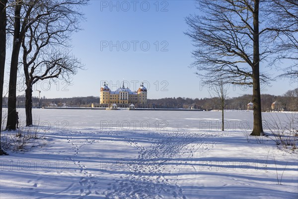 Baroque Moritzburg Hunting Lodge, Moritzburg, Saxony, Germany, Europe