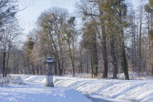 Canal with decorative vases, between the hunting lodge and the Fasanenschloesschen, Moritzburg, Saxony, Germany, Europe