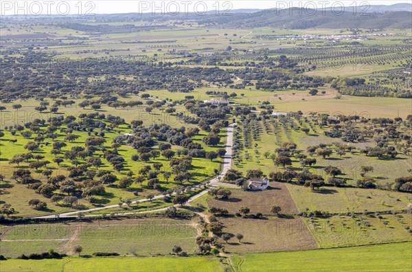 View over landscape from village of Monsaraz, Alto Alentejo, Portugal, southern Europe view north over countryside fields, farms of Montado farming with oak trees, Europe