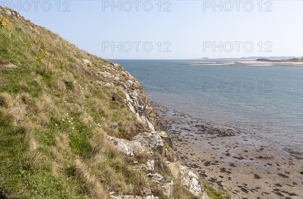 Looking south down the coast from Holy Island, Lindisfarne, Northumberland, England, UK towards Bamburgh Castle in distance