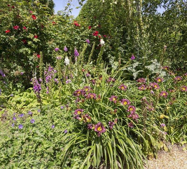 Royal Horticultural Society gardens at Hyde Hall, Essex, England, UK