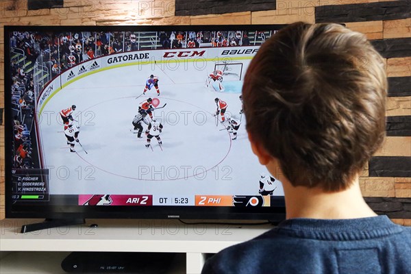 Boy plays ice hockey on the Playstation