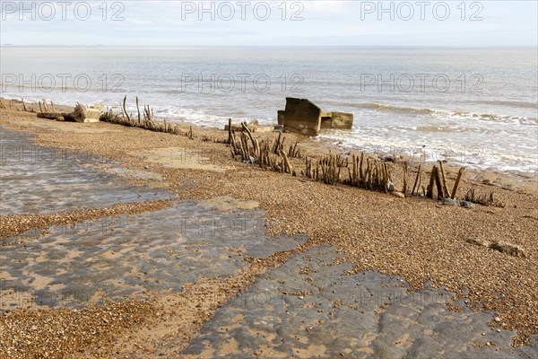 Wooden posts revealed at low tide low beach shingle levels, Bawdsey, Suffolk, England, UK possibly old coastal defences