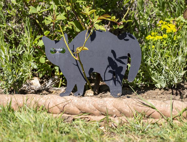 Black metal cat scarer in garden with green glass eyes to deter cats, UK