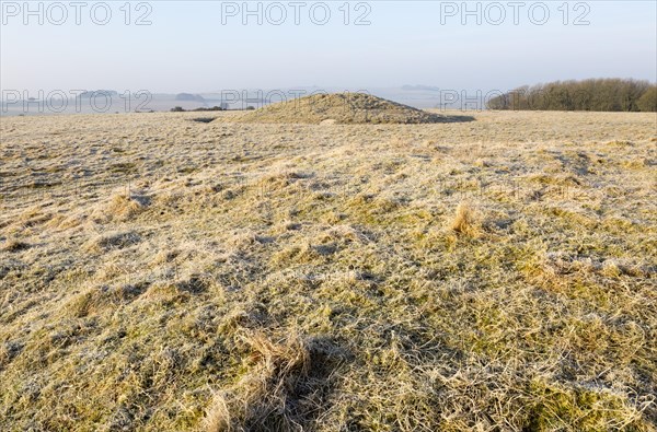 Bronze Age bowl barrow on Windmill Hill, a Neolithic causewayed enclosure, near Avebury, Wiltshire, England, UK