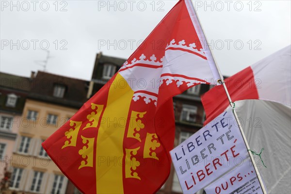 Strasbourg, France: Large demonstration for freedom against the corona measures and the vaccination pressure in France, Germany and other parts of Europe. The demonstration was organised by the peace initiative Europeansunited