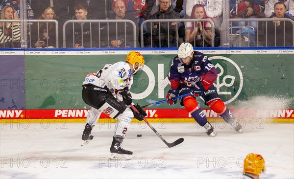 Game scene Adler Mannheim against Fischtown Pinguins Bremerhaven (PENNY DEL, German Ice Hockey League)