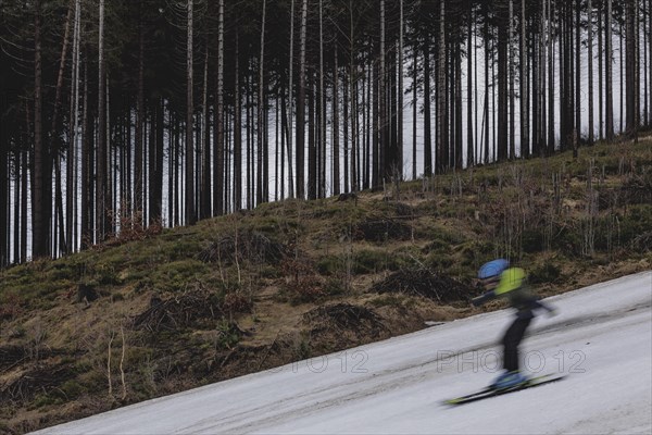 A skier skis on an artificially snow-covered and dirty slope, taken on a ski slope in the Jizera Mountains ski resort near Albrechtice v Jizerskych Horach, 05.02.2024. The Czech low mountain range with its ski resort is affected by increasingly warmer and shorter winters