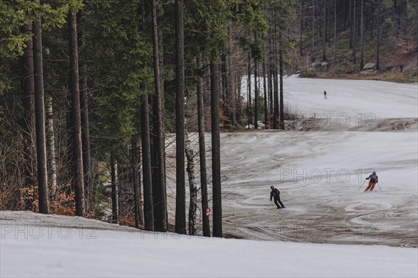 Skiers skiing on an artificially snow-covered and dirty slope, taken on a ski slope in the Jizera Mountains ski area near Albrechtice v Jizerskych Horach, 05.02.2024. The Czech low mountain range with its ski area is affected by increasingly warmer and shorter winters