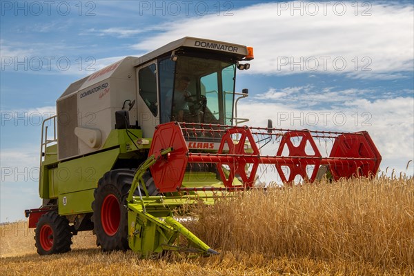 Grain harvest in the district of Bad Duerkheim (Rhineland-Palatinate)