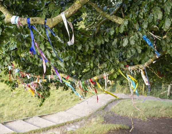 Colourful ribbons tied on branches of an ancient beech tree at stone circle henge, Avebury, Wiltshire, UK