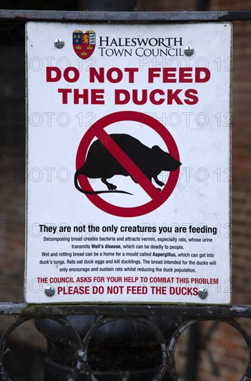 Do not feed the ducks sign notice picture of a rat, Halesworth Town Council, Suffolk, England, United Kingdom, Europe
