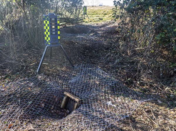 Eviction of badgers clearance of badger sett using metal fencing and one way exit gates, part of HS2 project near Kenilworth, Warwickshire, England, November 2020. Armadillo Videoguard surveillance robots used to observe site and detect protestors