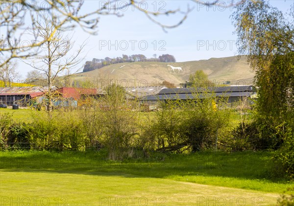 Large country garden, Cherhill, Wiltshire, England, UK view to White Horse chalk figure