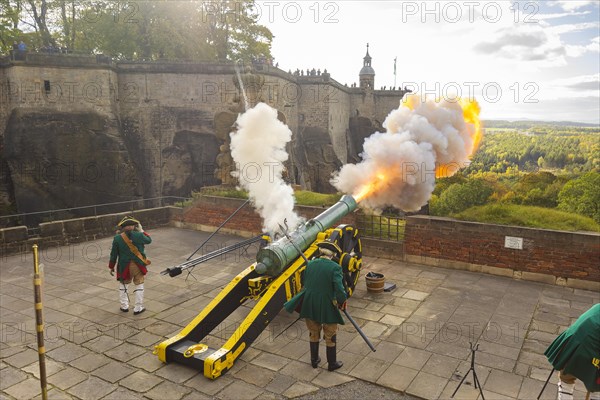 Koenigstein Fortress in Saxon Switzerland. A cannon belonging to the Koenigstein Fortress, built in 1712, was christened DIE STARKE AUGUSTE and fired. By the Electoral Saxon Gunners 1730 of the Rifle Society Friedersdorf., Koenigstein, Saxony, Germany, Europe