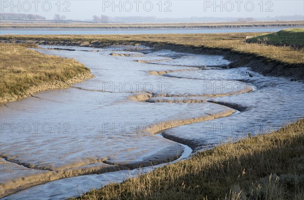 Meanders in muddy channel River Deben low tide, near Falkenham, Suffolk, England, UK
