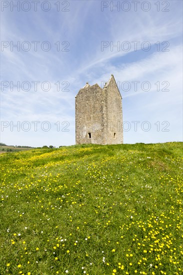 Dovecote ruin famous local landmark town of Bruton, Somerset, England, UK