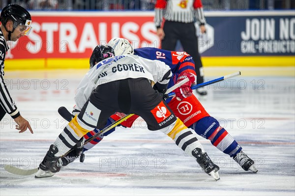 Game scene Adler Mannheim against Rouen Dragons (Champions Hockey League)