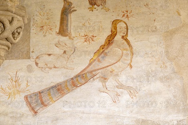 Image set of Casas Pintadas, Evora, Portugal unusual 16th-century murals paintings of creatures real and imagined, birds, hares, foxes, a basilisk, a mermaid and a harpy