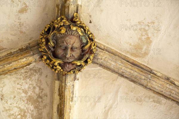 Roof boss face of green or wild man in cloisters, Norwich Cathedral, Norfolk, England, UK