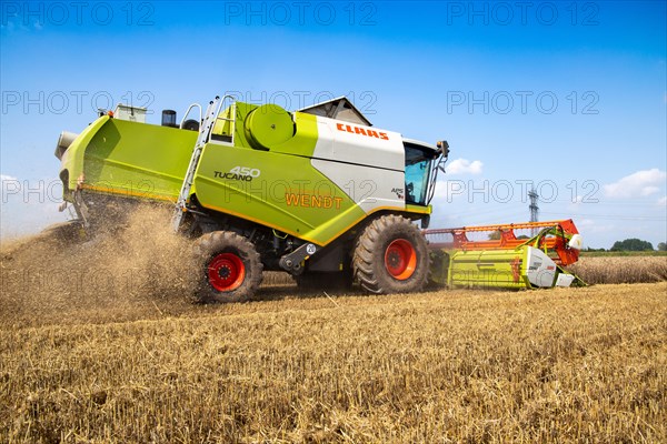 Grain harvest near Hockenheim, Baden-Wuerttemberg