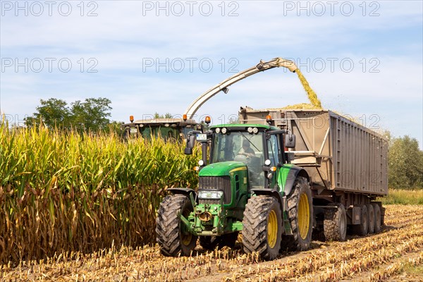 Rhineland-Palatinate, Germany: Maize harvesting (maize chopping) for the Alexanderhof biogas plant in Hochdorf-Assenheim