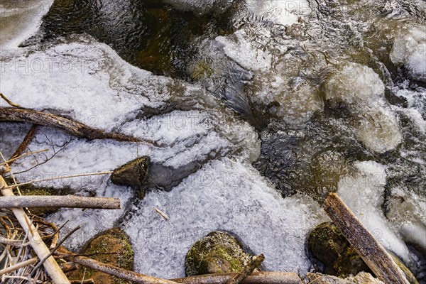 Severe frost has formed bizarre ice formations in the riverbed of the Gottleuba, Bergieshuebel, Saxony, Germany, Europe