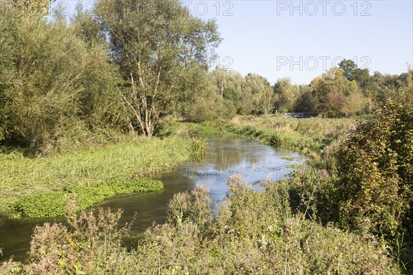 Salisbury River Avon, meandering near Fifield, near Netheravon, Wiltshire, England, UK