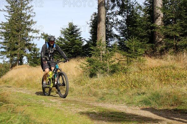 Mountain bike tour through the Bavarian Forest with the DAV Summit Club: Mountain bikers in the Bohemian Forest near the border with Bavaria