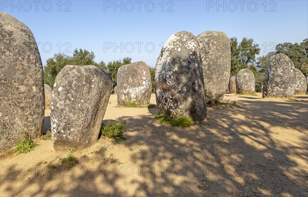 Neolothic stone circle of granite boulders, Cromeleque dos Almendres, Evora district, Alentejo, Portugal, southern Europe, Europe