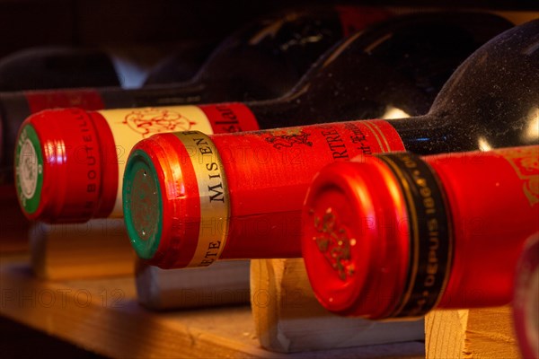 Wine cellar with red wine bottles (editorial)