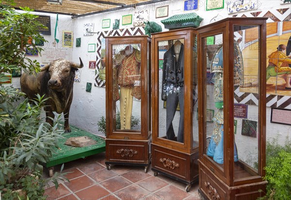 Bullring built 1900, Mijas, Costa del Sol, Malaga Province, Andalusia, Spain small museum inside