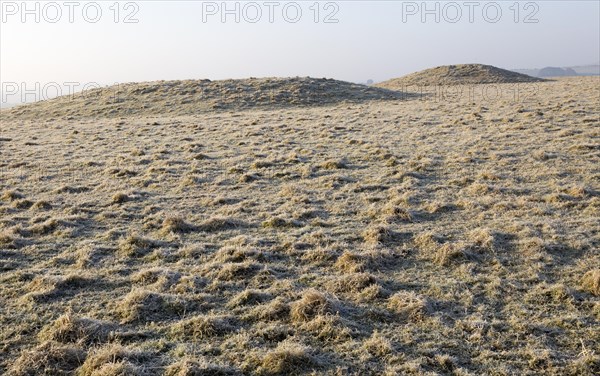 Bronze Age bowl barrow on Windmill Hill, a Neolithic causewayed enclosure, near Avebury, Wiltshire, England, UK