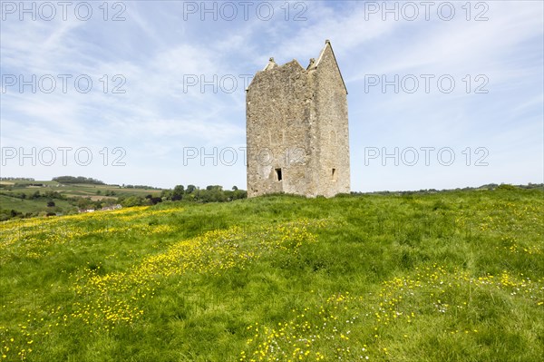 Dovecote ruin famous local landmark town of Bruton, Somerset, England, UK