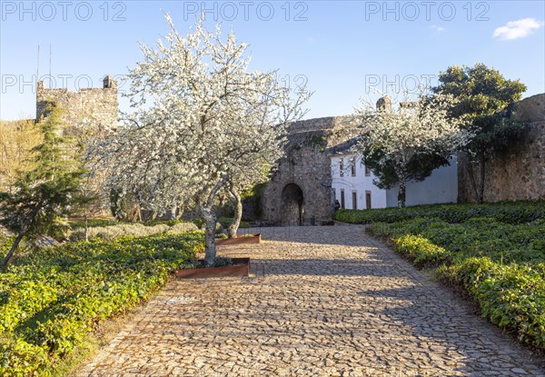 Garden inside historic castle medieval village of Marvao, Portalegre district, Alto Alentejo, Portugal, Southern Europe, Europe
